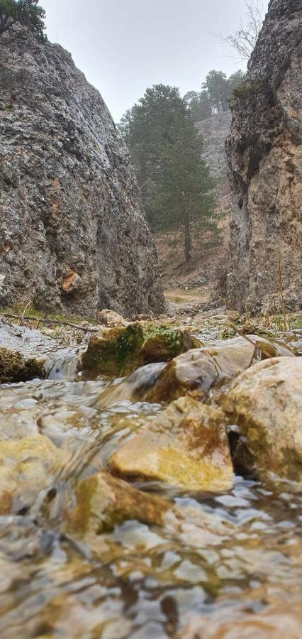 Hostal Restaurante Serrania Tragacete Kültér fotó